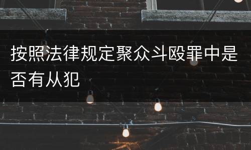 按照法律规定聚众斗殴罪中是否有从犯