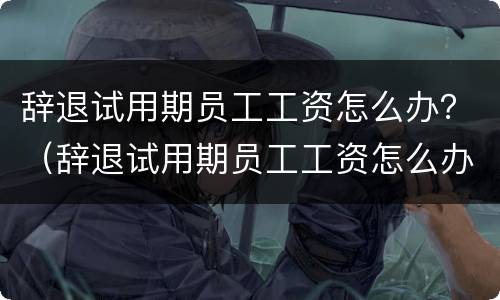 辞退试用期员工工资怎么办？（辞退试用期员工工资怎么办手续）