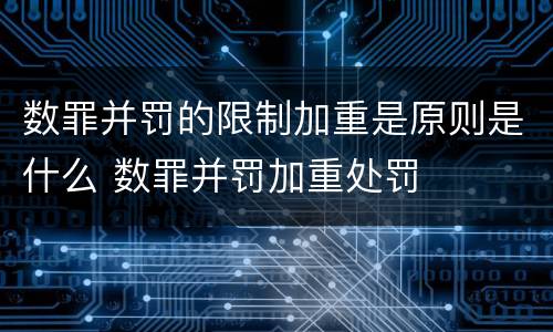 数罪并罚的限制加重是原则是什么 数罪并罚加重处罚