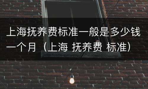 上海抚养费标准一般是多少钱一个月（上海 抚养费 标准）