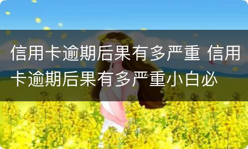 信用卡逾期后果有多严重 信用卡逾期后果有多严重小白必
