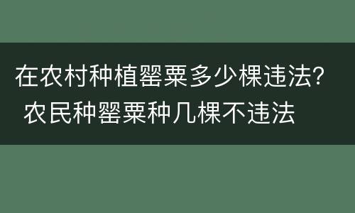 在农村种植罂粟多少棵违法？ 农民种罂粟种几棵不违法