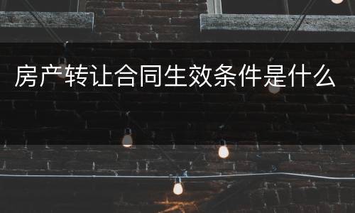 房产转让合同生效条件是什么