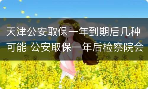 天津公安取保一年到期后几种可能 公安取保一年后检察院会逮捕吗