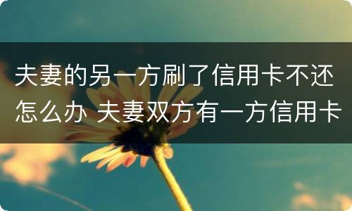 夫妻的另一方刷了信用卡不还怎么办 夫妻双方有一方信用卡还不上