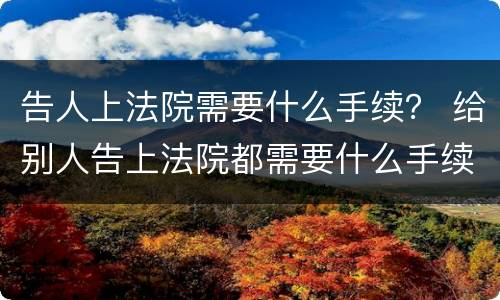 告人上法院需要什么手续？ 给别人告上法院都需要什么手续