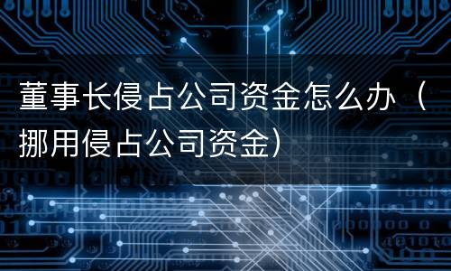 董事长侵占公司资金怎么办（挪用侵占公司资金）