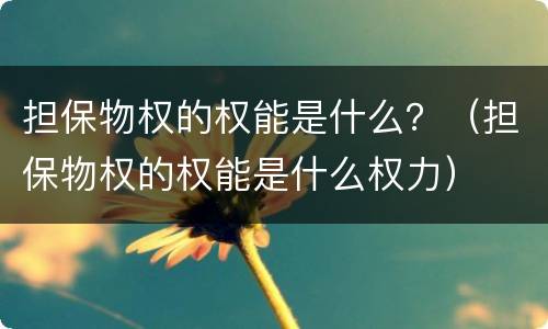 担保物权的权能是什么？（担保物权的权能是什么权力）