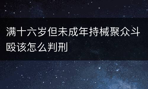 满十六岁但未成年持械聚众斗殴该怎么判刑