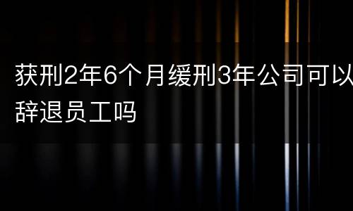 获刑2年6个月缓刑3年公司可以辞退员工吗