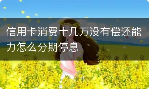信用卡消费十几万没有偿还能力怎么分期停息