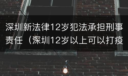深圳新法律12岁犯法承担刑事责任（深圳12岁以上可以打疫苗吗）