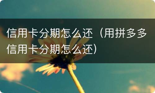 信用卡分期怎么还（用拼多多信用卡分期怎么还）