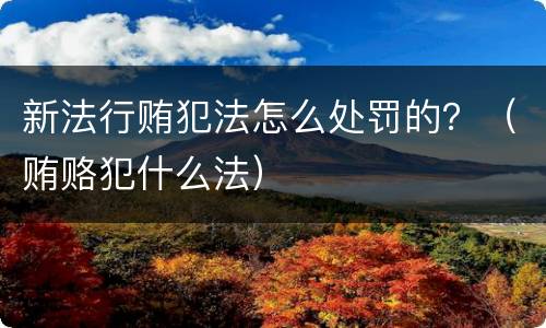 新法行贿犯法怎么处罚的？（贿赂犯什么法）