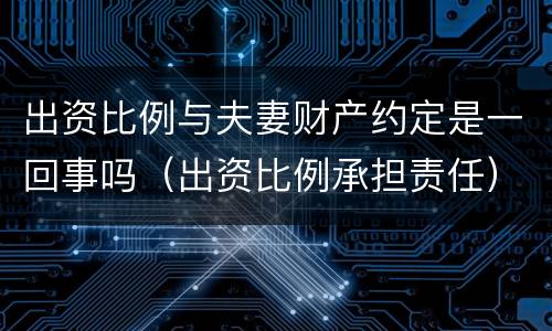 出资比例与夫妻财产约定是一回事吗（出资比例承担责任）