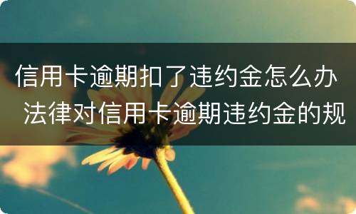 信用卡逾期扣了违约金怎么办 法律对信用卡逾期违约金的规定