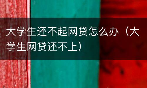 大学生还不起网贷怎么办（大学生网贷还不上）