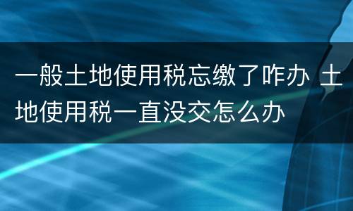 一般土地使用税忘缴了咋办 土地使用税一直没交怎么办