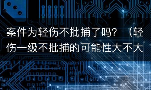 案件为轻伤不批捕了吗？（轻伤一级不批捕的可能性大不大）