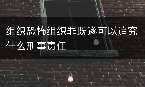 组织恐怖组织罪既遂可以追究什么刑事责任