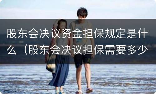 股东会决议资金担保规定是什么（股东会决议担保需要多少股东通过）