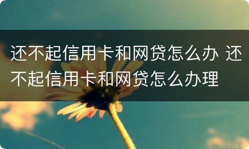 还不起信用卡和网贷怎么办 还不起信用卡和网贷怎么办理