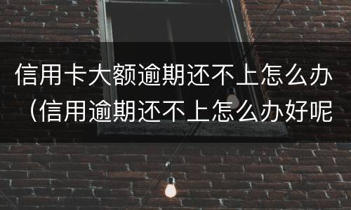信用卡大额逾期还不上怎么办（信用逾期还不上怎么办好呢）