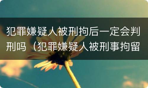 犯罪嫌疑人被刑拘后一定会判刑吗（犯罪嫌疑人被刑事拘留的条件）