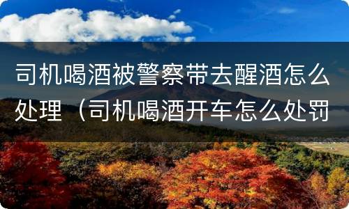 司机喝酒被警察带去醒酒怎么处理（司机喝酒开车怎么处罚）