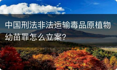 中国刑法非法运输毒品原植物幼苗罪怎么立案？