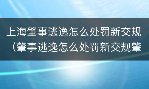上海肇事逃逸怎么处罚新交规（肇事逃逸怎么处罚新交规肇事逃逸违反条款）