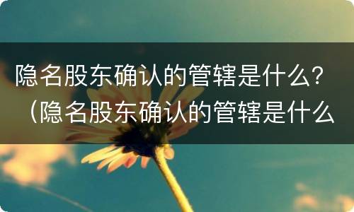 隐名股东确认的管辖是什么？（隐名股东确认的管辖是什么规定）
