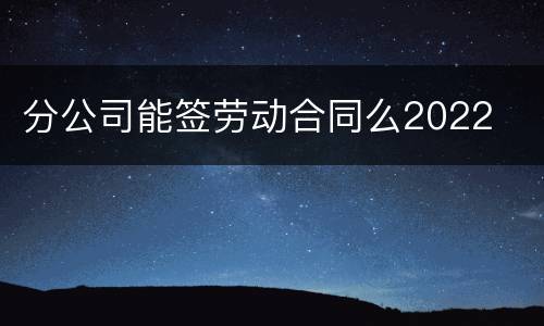 分公司能签劳动合同么2022