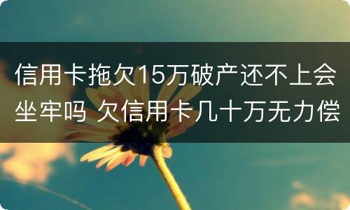 信用卡拖欠15万破产还不上会坐牢吗 欠信用卡几十万无力偿还会坐牢吗