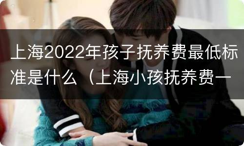 上海2022年孩子抚养费最低标准是什么（上海小孩抚养费一般在多少2019）