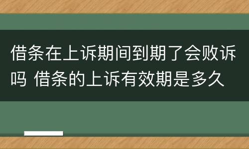 借条在上诉期间到期了会败诉吗 借条的上诉有效期是多久