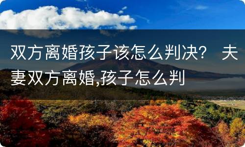 双方离婚孩子该怎么判决？ 夫妻双方离婚,孩子怎么判
