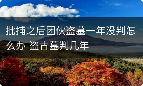 批捕之后团伙盗墓一年没判怎么办 盗古墓判几年