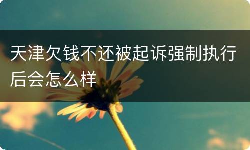 天津欠钱不还被起诉强制执行后会怎么样