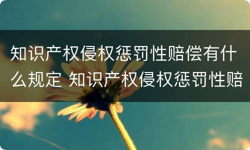知识产权侵权惩罚性赔偿有什么规定 知识产权侵权惩罚性赔偿适用法律若干问题的解释