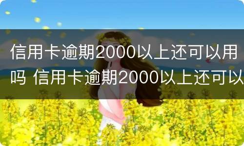 信用卡逾期2000以上还可以用吗 信用卡逾期2000以上还可以用吗知乎
