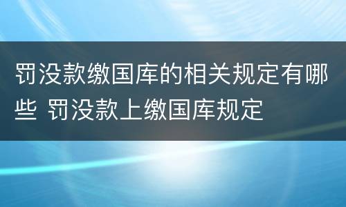 罚没款缴国库的相关规定有哪些 罚没款上缴国库规定