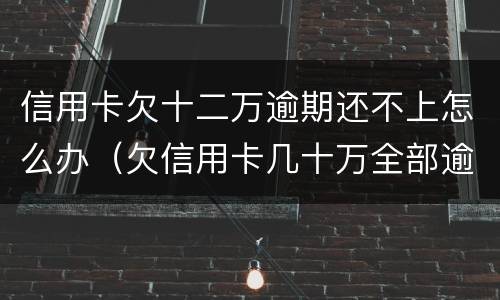 信用卡欠十二万逾期还不上怎么办（欠信用卡几十万全部逾期还不了怎么办）