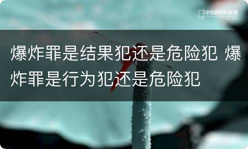 爆炸罪是结果犯还是危险犯 爆炸罪是行为犯还是危险犯