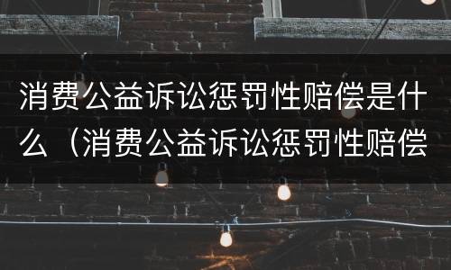 消费公益诉讼惩罚性赔偿是什么（消费公益诉讼惩罚性赔偿是什么意思）