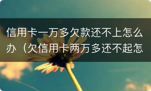 信用卡一万多欠款还不上怎么办（欠信用卡两万多还不起怎么办）