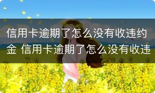 信用卡逾期了怎么没有收违约金 信用卡逾期了怎么没有收违约金了