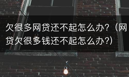 欠很多网贷还不起怎么办?（网贷欠很多钱还不起怎么办?）