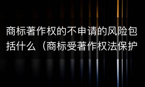 商标著作权的不申请的风险包括什么（商标受著作权法保护吗）