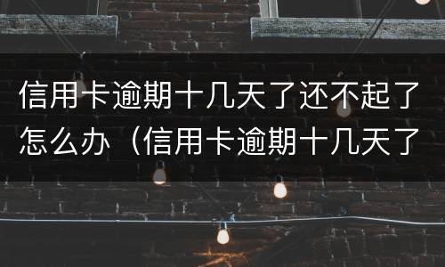 信用卡逾期十几天了还不起了怎么办（信用卡逾期十几天了还不起了怎么办呀）
